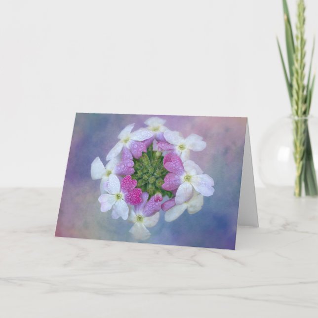 Carte de fleurs colorées (Devant)