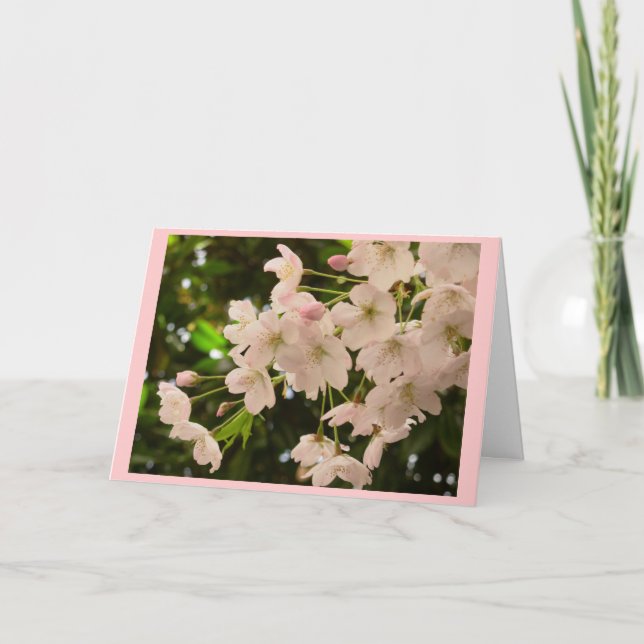 Carte de fleurs de cerisier Carte de fleurs blanch (Devant)