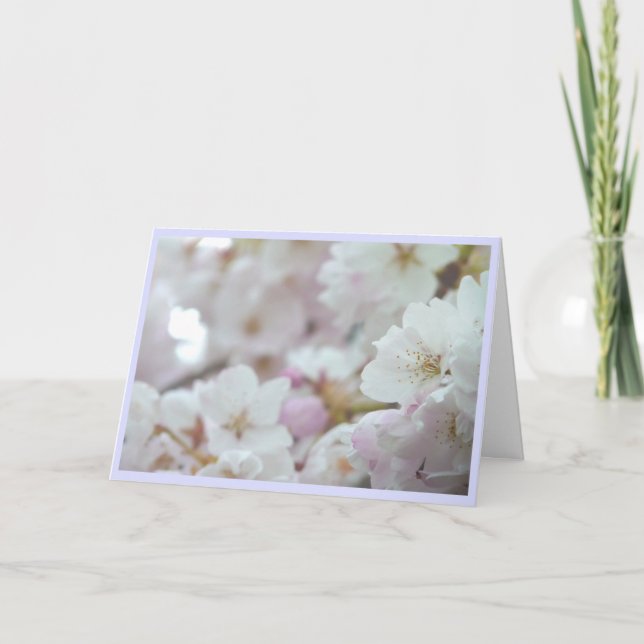 Carte de fleurs de cerisier Carte de fleurs blanch (Devant)