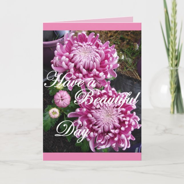 Carte de fleurs de chrysanthème pour une belle jou (Devant)