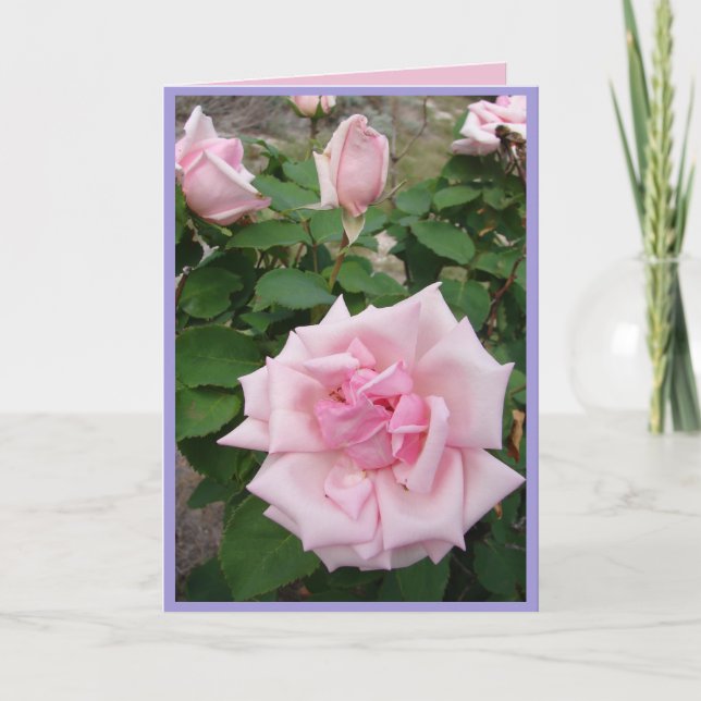Carte de fleurs de jardin Vintages Roses roses (Devant)