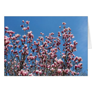 Carte de fleurs de magnolia rose ciel bleu