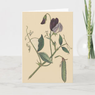 Carte de fleurs de pois doux