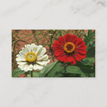 Carte de fleurs de Zinnia blanches et de Zinnia ro