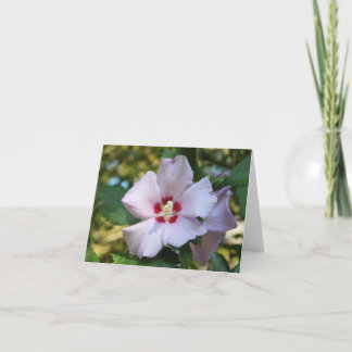 Carte de fleurs Hibiscus