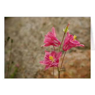 Carte de fleurs rose