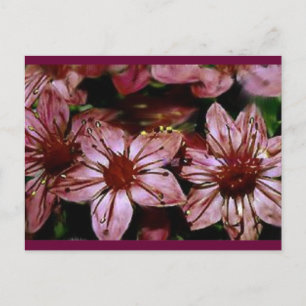 Carte de fleurs rouges peintes