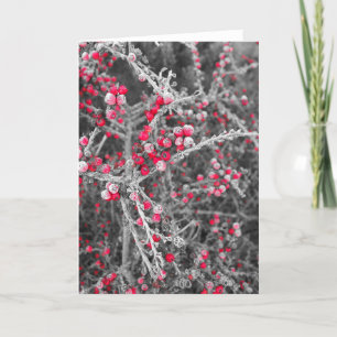 Carte de Frosted Berries