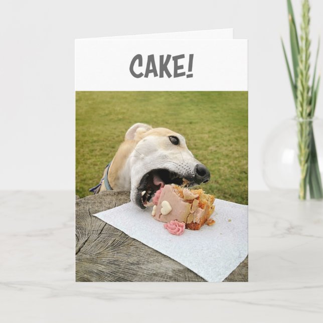Carte de gâteau d'anniversaire de Greyhound Dog (Devant)