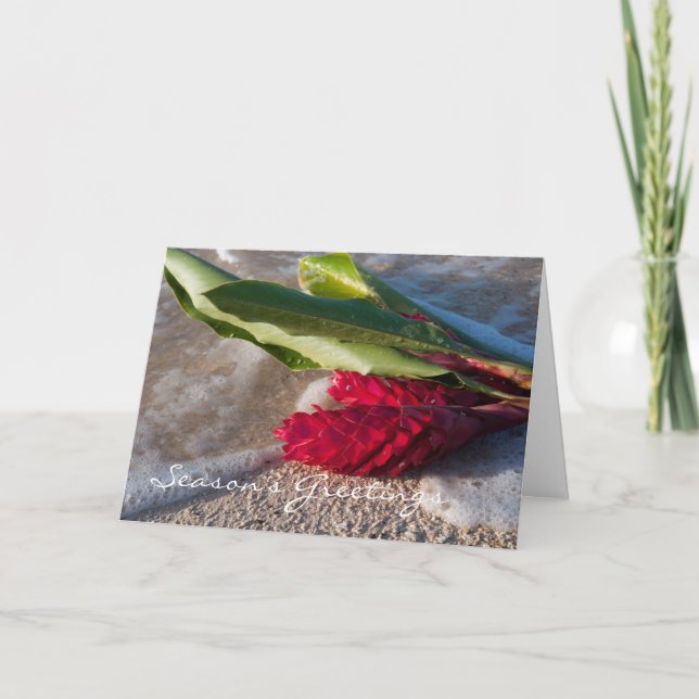 Carte de gingembre rouge (Devant)