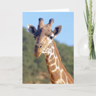 Carte de girafe