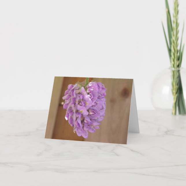 Carte de glycine américaine (Wisteria frutescens) (Devant)