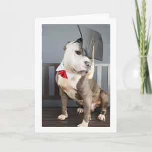 carte de graduation