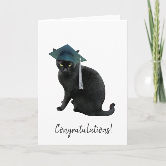 Carte de Graduation de chat gris (Devant)