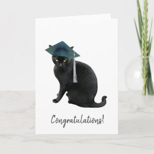 Carte de Graduation de chat gris