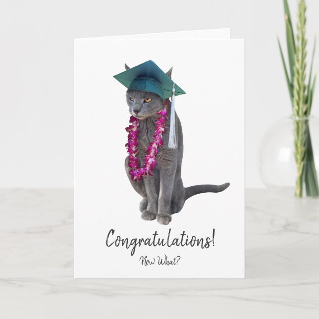 Carte de Graduation de chat gris (Devant)