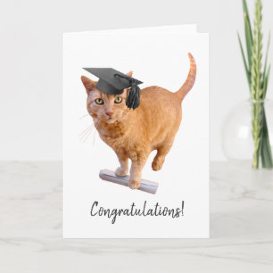 Carte de graduation de chats orange