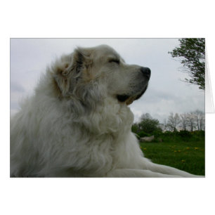 Carte de Grands Pyrénées