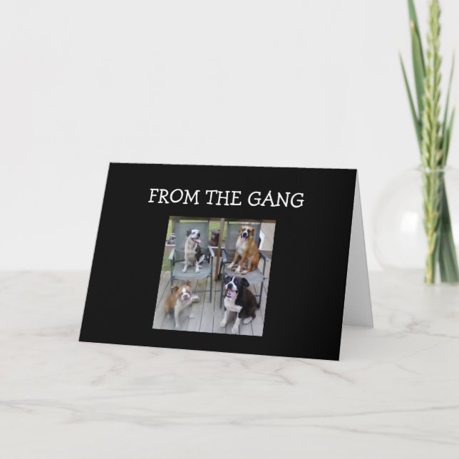 Carte de groupe "FILS ET DIPLÔMÉ #1" (Devant)