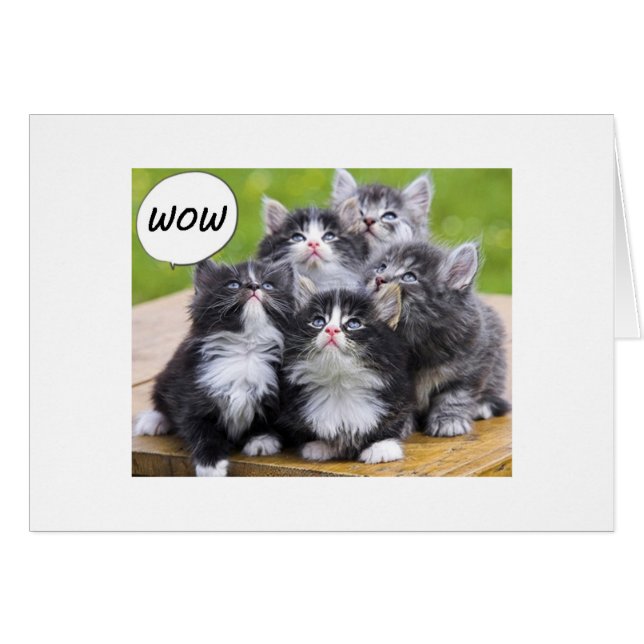 CARTE DE GROUPE POUR L'AMOUREUX DE LA KITTY DE 50  (Devant horizontal)