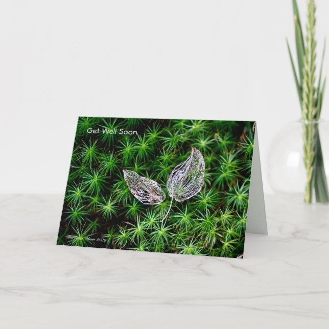 Carte de guérison dans la nature (Devant)
