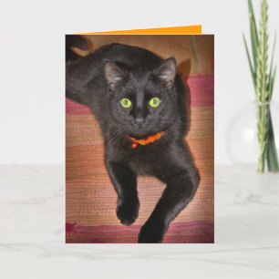 Carte de Halloween de chat noir