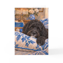 Carte de Hanoucca avec un chien d'eau portugais