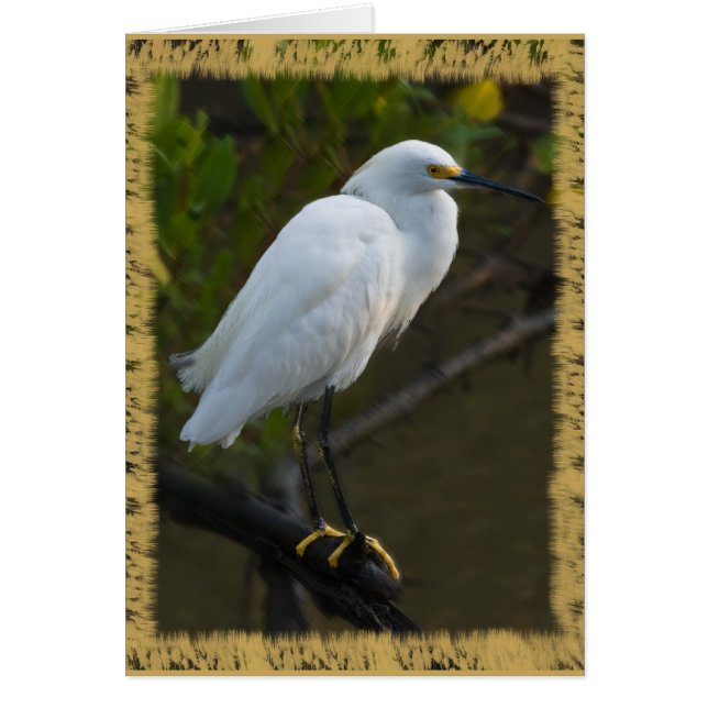 Carte de héron de Milou (Devant)