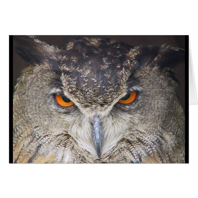 Carte de hibou (Devant horizontal)
