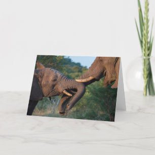 Carte de jeu d'éléphants