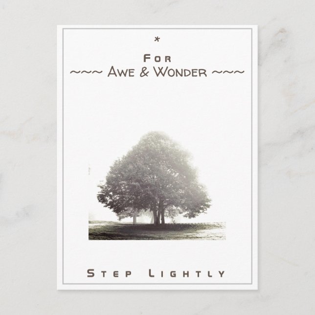 Carte de jonction n° 43 : Pour Awe & Wonder Step l (Devant)