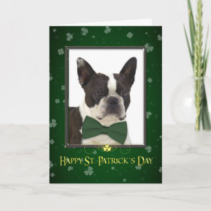 Carte de jour de Boston Terrier St Patrick