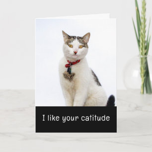 Carte de jour de Cute Cat Valenitne