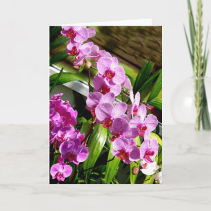 carte de jour de mère heureuse