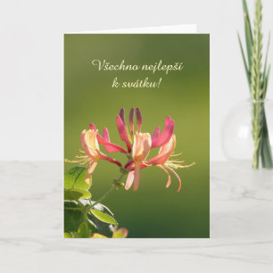 Carte de jour de nom en tchèque