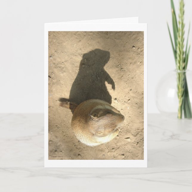 Carte de jour de porc moulu (Devant)