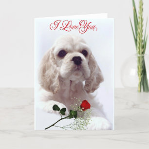 Carte de jour de Valentines