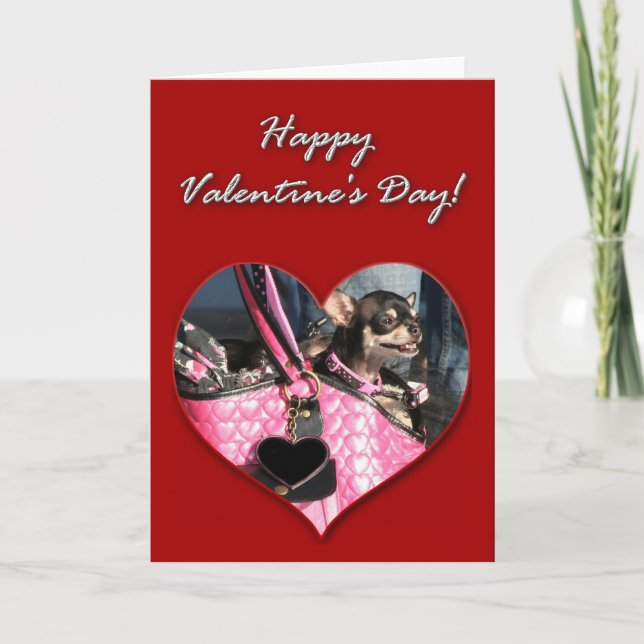 Carte de jour de Valentines de chiwawa (Devant)