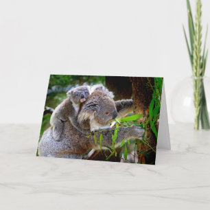 Carte de jour Koala et Joey Mothers