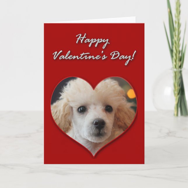 Carte de jour Valentines pour le chiot de Toy Pood (Devant)
