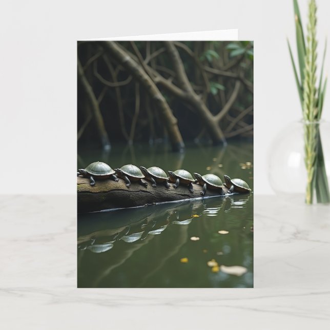 Carte de journal de tortue paisible (Devant)