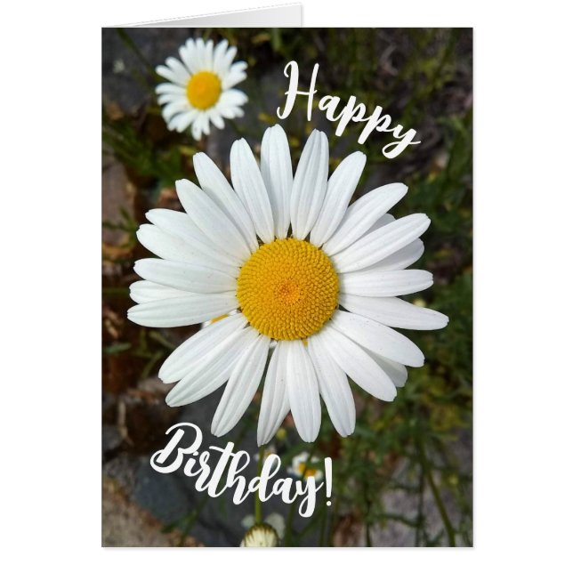 Carte de joyeux anniversaire avec fleur de marguer (Devant)