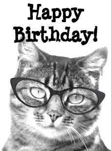 Cartes De Vœux Dame Chat Zazzle Fr Cartes De Vœux Dame Chat Zazzle Fr