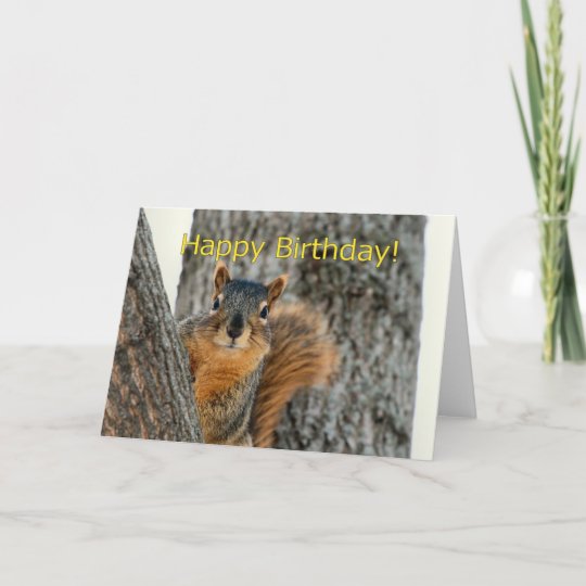 Carte De Joyeux Anniversaire Avec Un Ecureuil Zazzle Fr