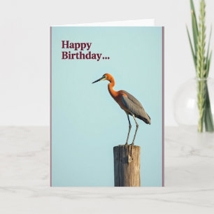 Carte de joyeux anniversaire Avian Grace