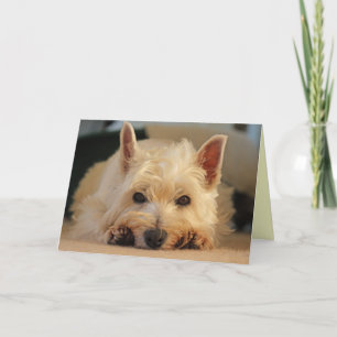 Carte de joyeux anniversaire - carte de Westie