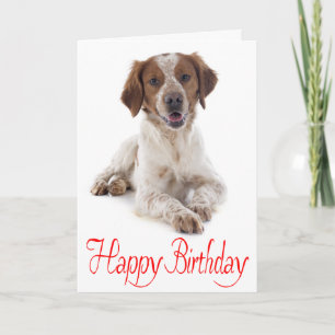 Carte de Joyeux Anniversaire Chien Brittany Spanie