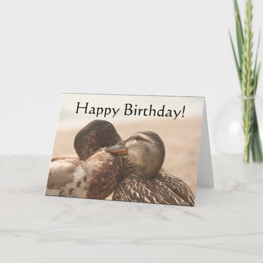 Carte De Joyeux Anniversaire De Canards Zazzle Fr