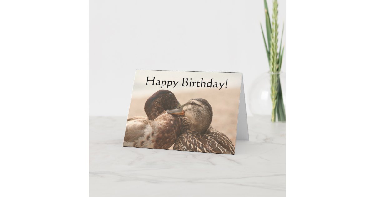 Carte De Joyeux Anniversaire De Canards Zazzle Fr