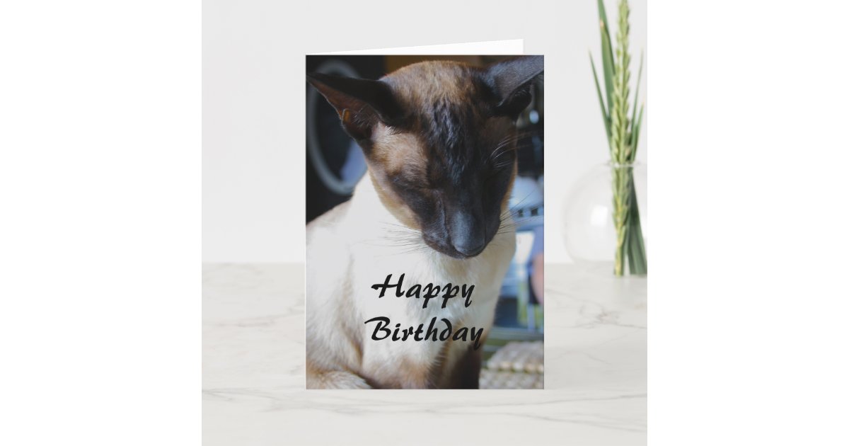 Carte De Joyeux Anniversaire De Chat Siamois Zazzle Fr